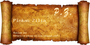 Pinkas Zilia névjegykártya